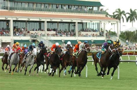 race results gulfstream park